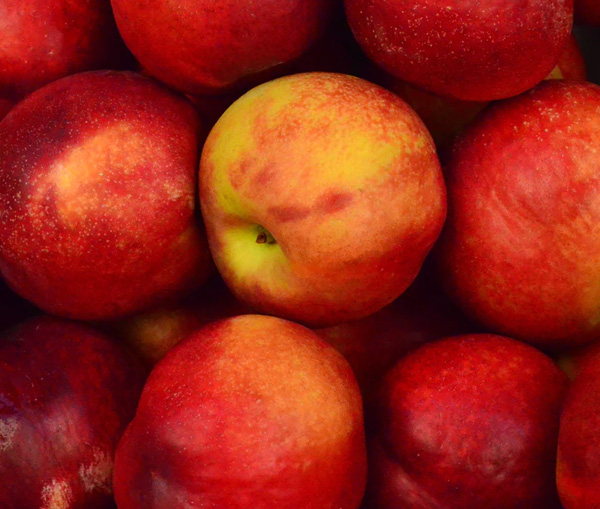 Seasonal fruit box